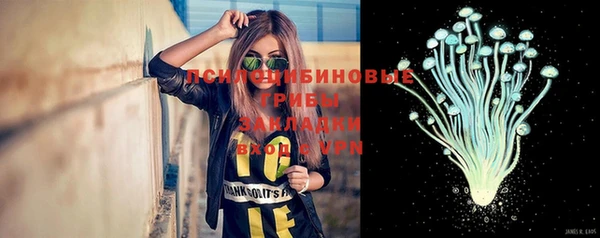 молекула духа Горно-Алтайск