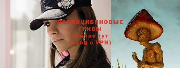 молекула духа Горно-Алтайск