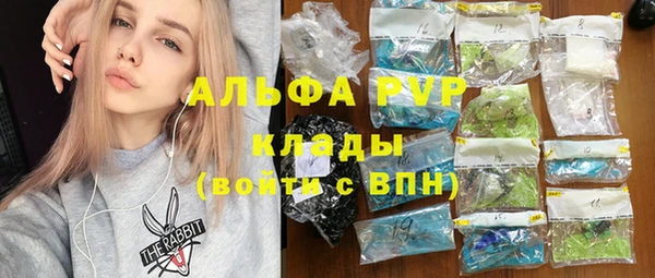 дживик Горняк