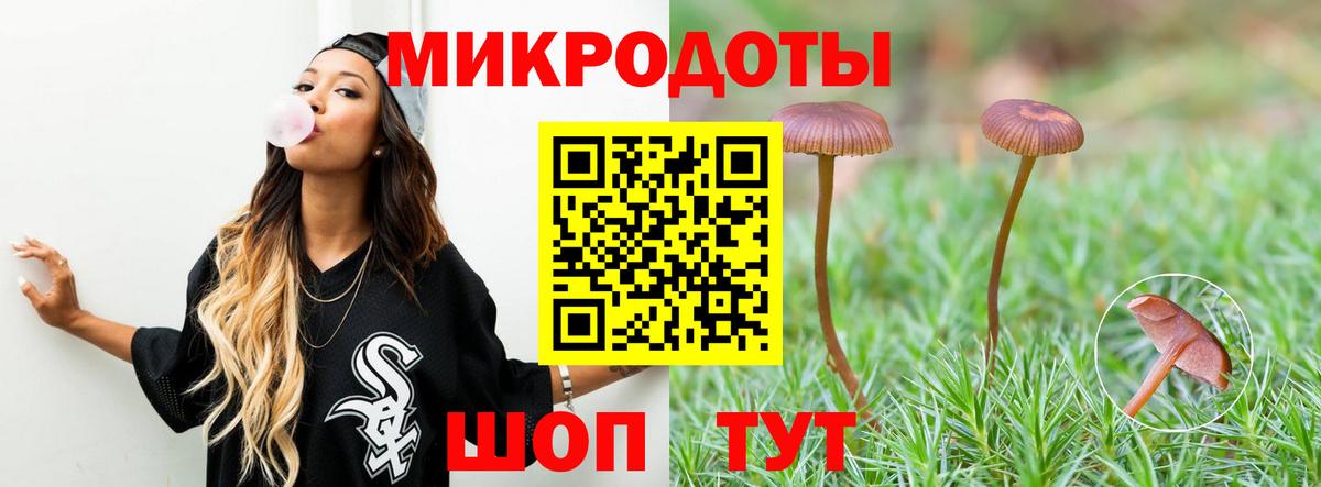 купить закладку  Псилоцибиновые грибы прущие грибы  Вход с VPN  Котовск 